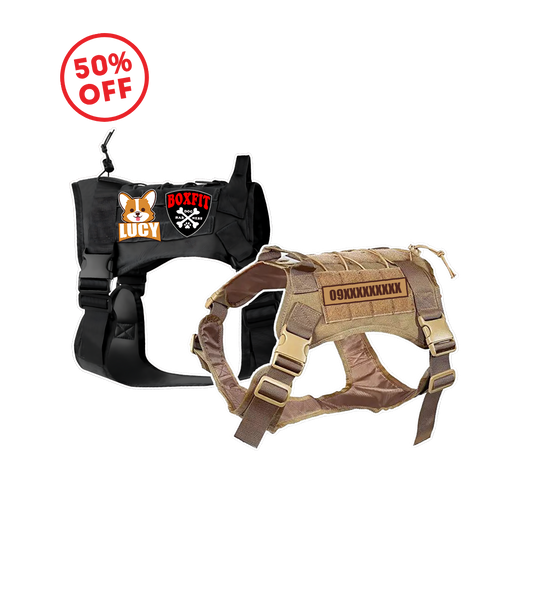 DOG HARNESS
